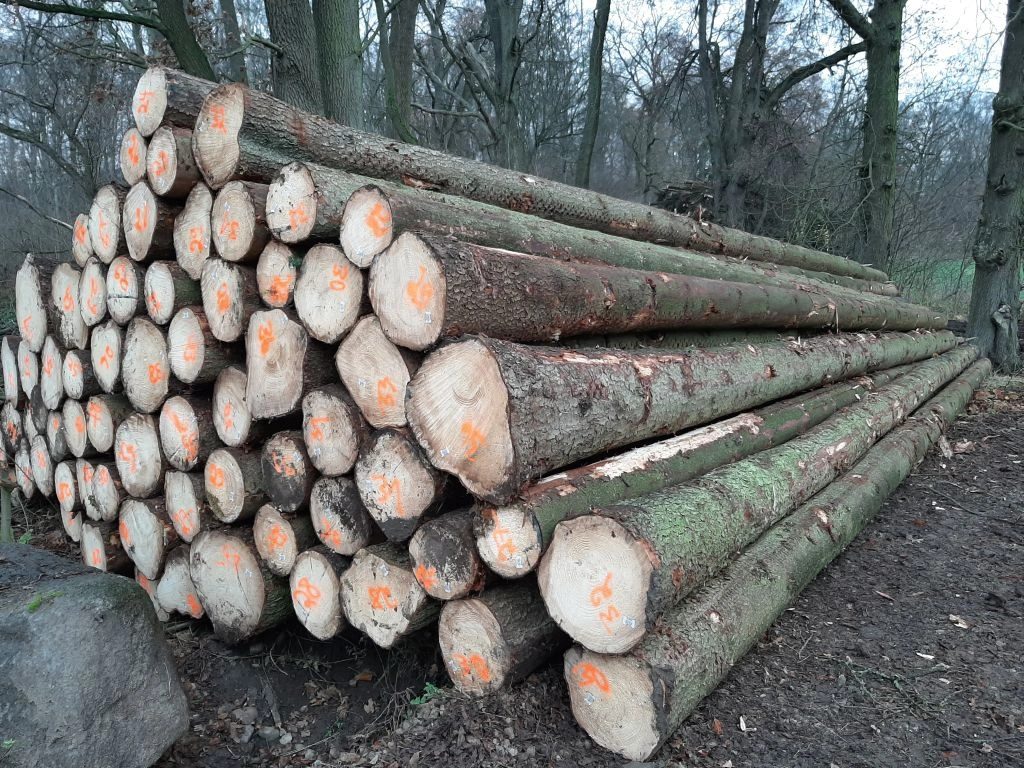 Fichtenstämme – 1 LKW-Ladung (50 Kubikmeter) – PEFC- und FSC-zertifiziert – Bild 4