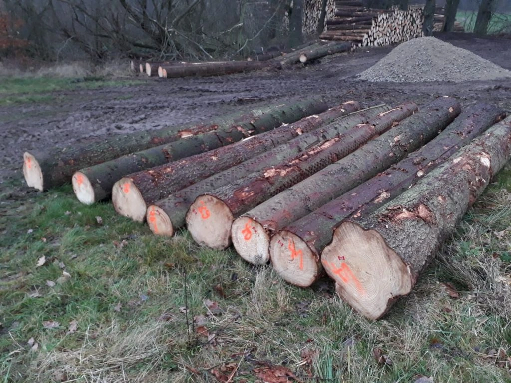 Fichtenstämme – 1 LKW-Ladung (50 Kubikmeter) – PEFC- und FSC-zertifiziert – Bild 3