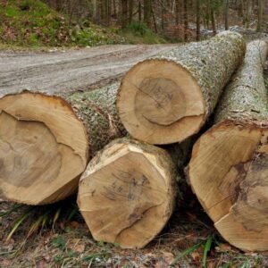 Hartholzmix – Stammholz – LKW-Ladung (20 – 80 RM)