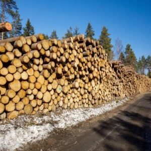 Fichte – Stammholz – LKW-Ladung (25 – 100 RM)
